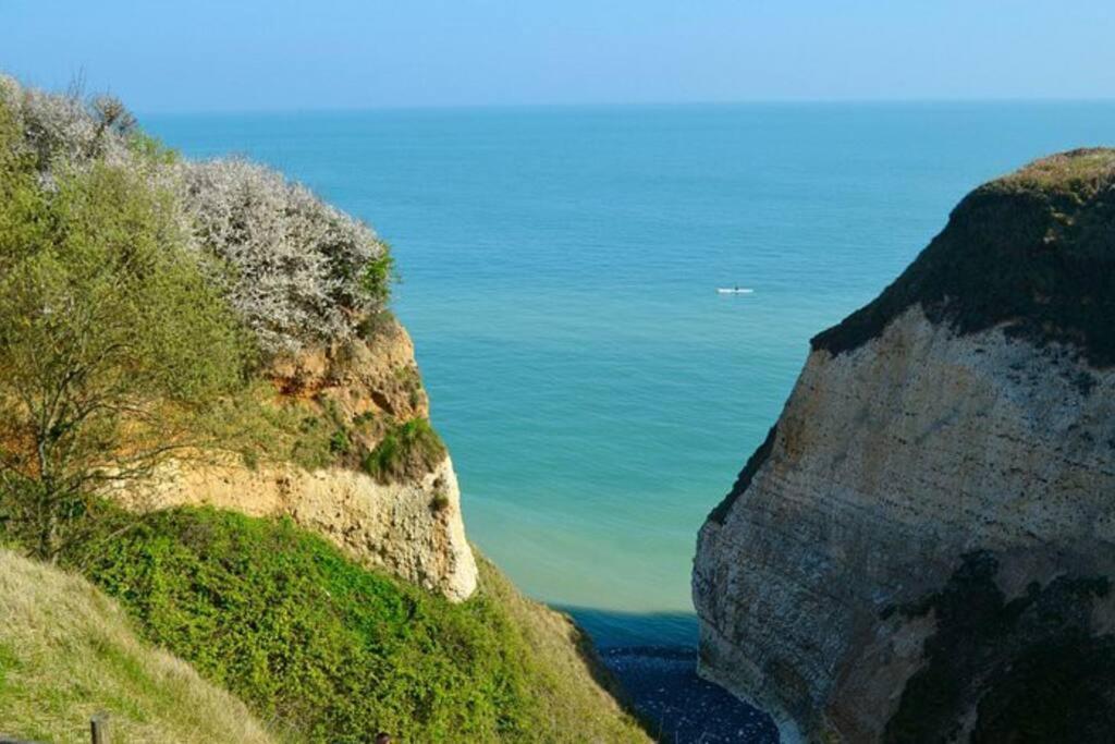 Superbe Propriete Bord De Mer - Le Clos Ricarda Sainte-Marguerite  Exterior foto